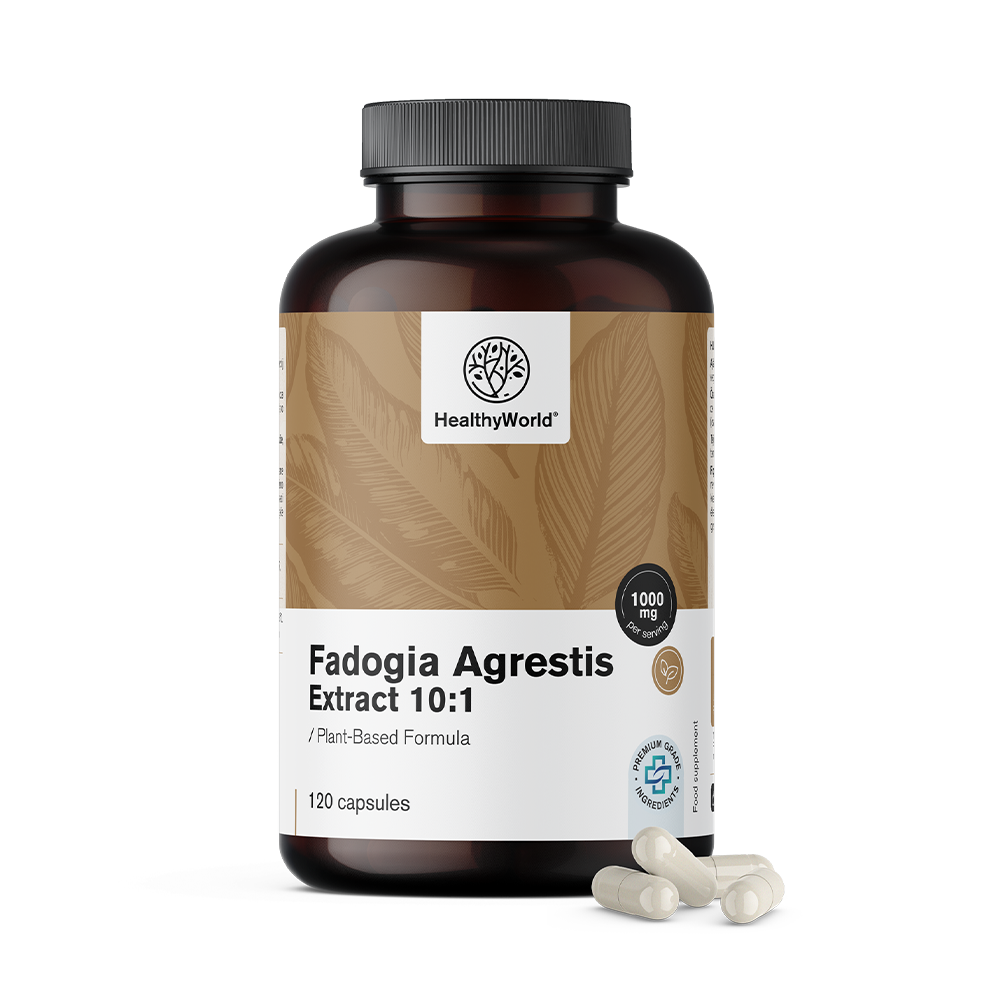 Fadogia Agrestis 1000 mg 