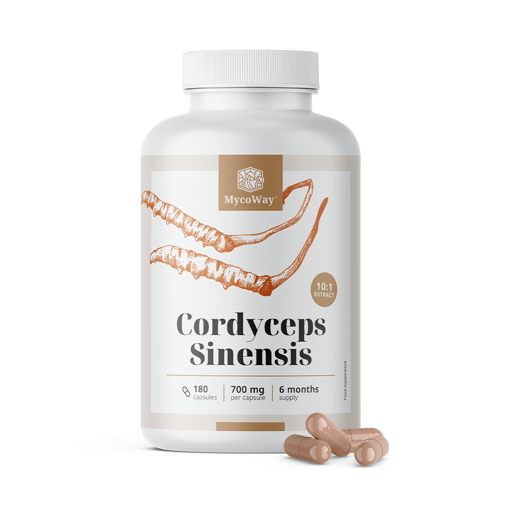 Cordyceps sinensis 1400 mg - výtažek 10:1