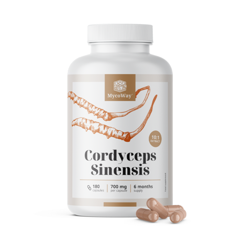 Cordyceps sinensis 1400 mg - výtažek 10:1