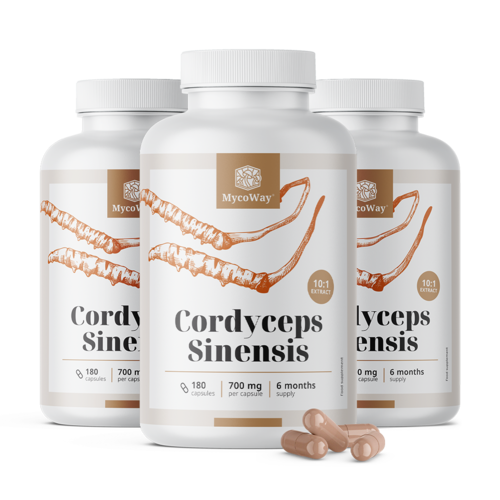 Cordyceps sinensis 1400 mg – izvleček 10:1