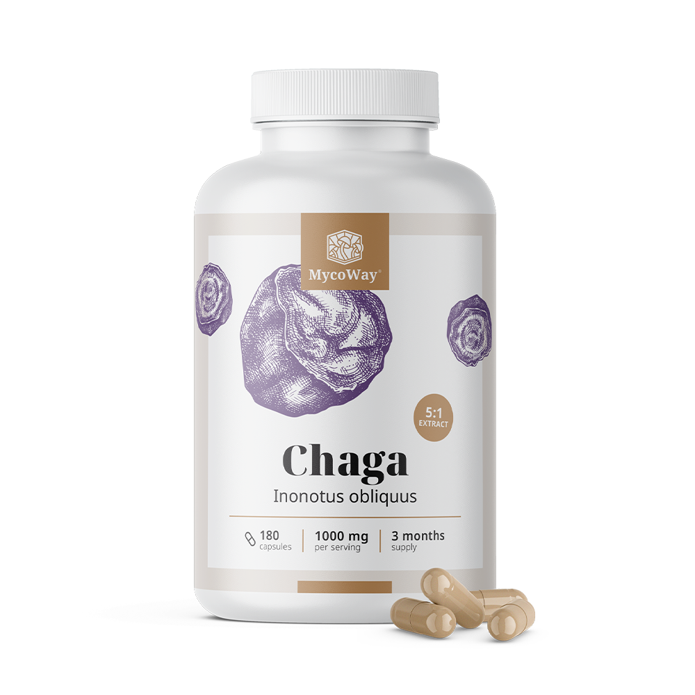 Chaga 1000 mg – výtažek 5:1