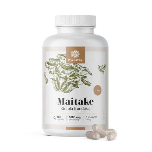 Maitake 1000 mg - výtažek