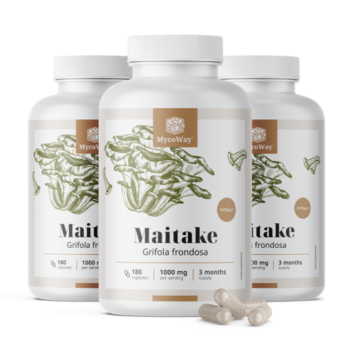 Maitake 1000 mg – výtažek