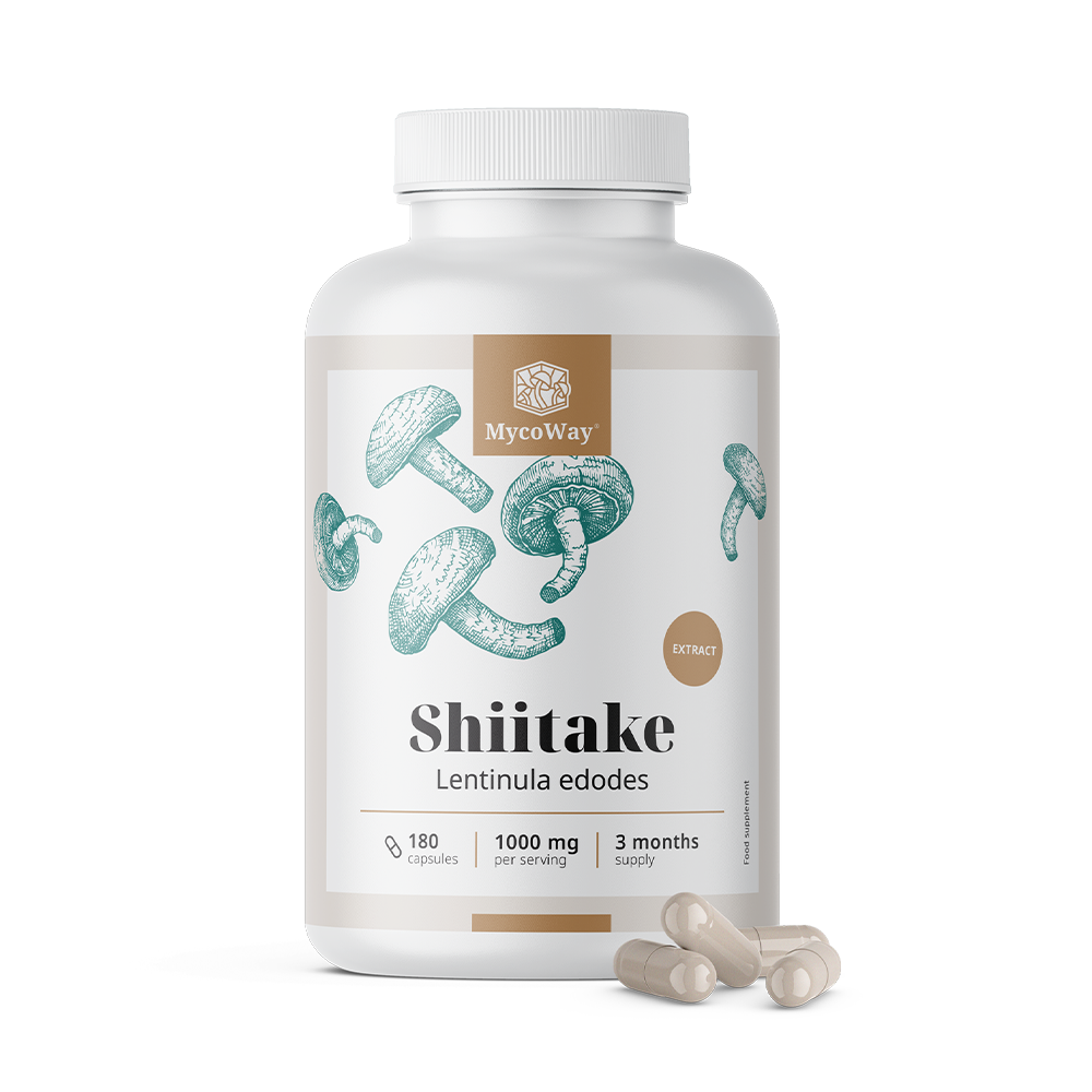 Shiitake 1000 mg - výtažek