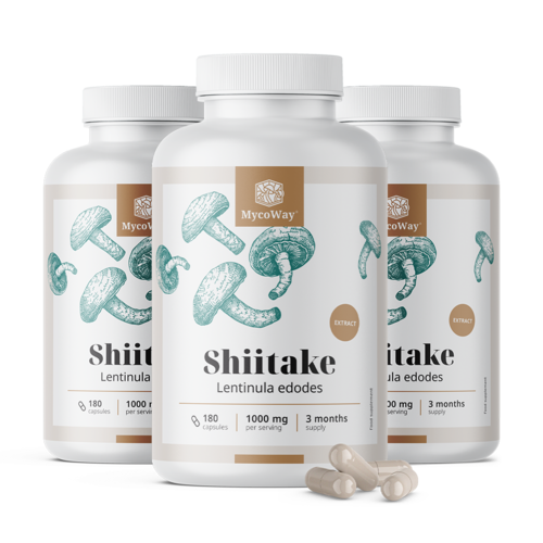 Shiitake 1000 mg – izvleček