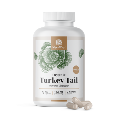 BIO Turkey Tail 1000 mg - výtažek