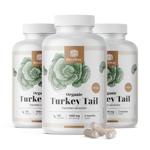 BIO Turkey Tail 1000 mg – izvleček
