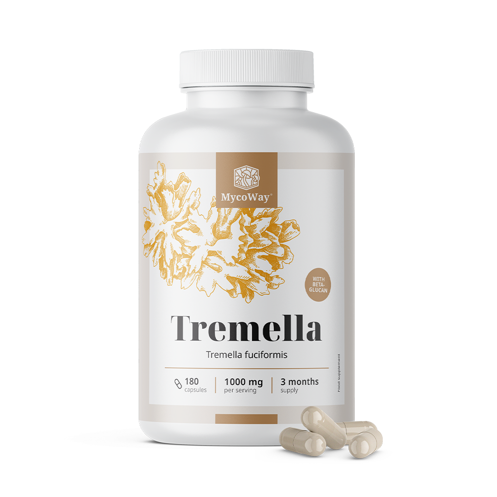 Tremella 1000 mg – výtažek