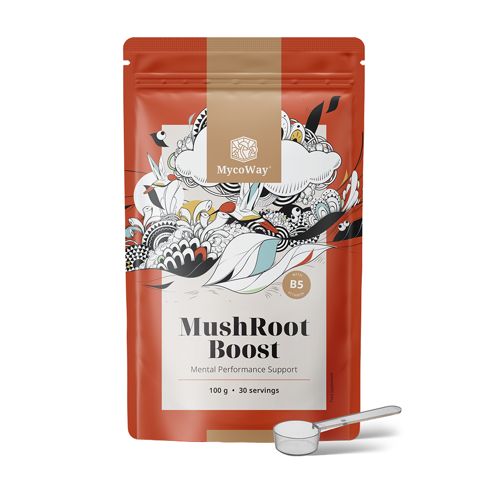 MushRoot Boost - nápoj pro duševní výkonnost