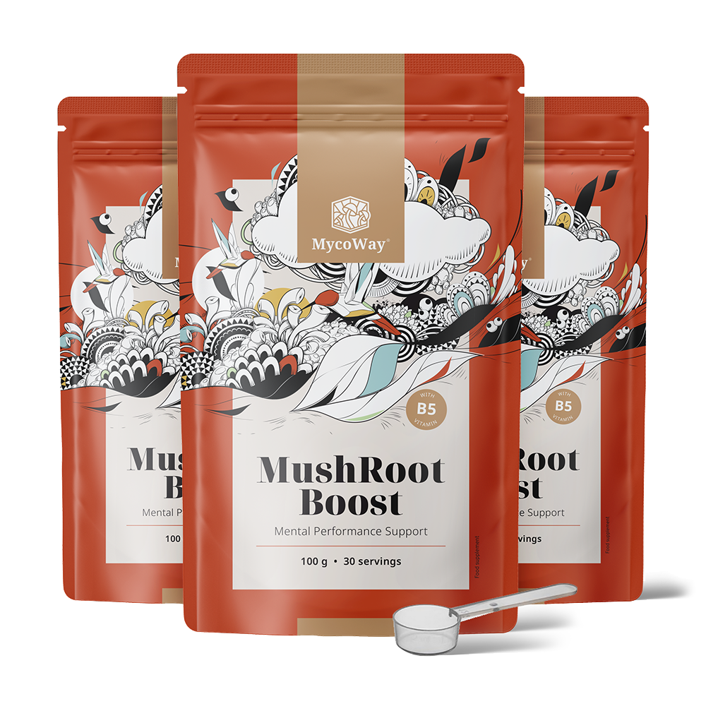 MushRoot Boost - nápoj pro mentální výkonnost