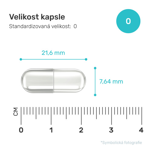 Active FatBurn, 120 kapslí - FutuNatura.cz